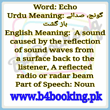 echo meaning in english and urdu echo