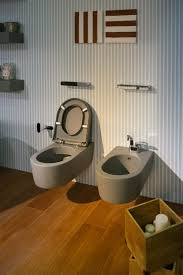 What Is The Best Dual Flush Toilet