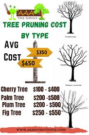 Maybe you would like to learn more about one of these? Tree Removal Cost Average Prices How Much To Remove A Tree Stump Dies
