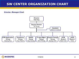 Sw Team Organization Chart
