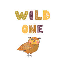 wild one vector art icons and