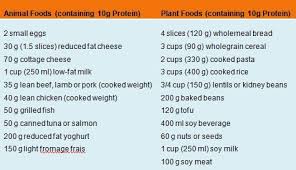 Protine Chart Protein Intake How Much Protein Do I Need