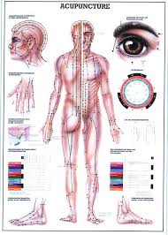 Acupuncture Wall Chart A0 Size