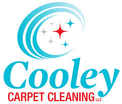 13 best carpet cleaning services