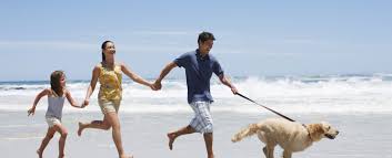 At outer beaches, we love our furry family members! Where To Find The Best Outer Banks Pet Friendly Rentals Shoreline Obx