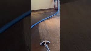 professional carpet cleaning by horizon