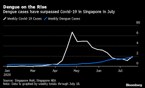 Singapore to ease some circuit breaker measures starting next week. Singapore Grapples With Deadly Dengue As Fever Rages Alongside Covid 19