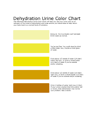 Urine Color Chart Template 6 Free Templates In Pdf Word
