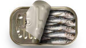 sardines the stinky little fish you