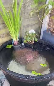 Diy Patio Pond Using A Bucket From B M