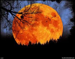 Image result for autumn moon images