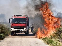 38 δασικές πυρκαγιές εκδηλώθηκαν το τελευταίο 24ωρο. Fwtia Twra Thebest Gr