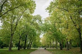 Hyde park is one of central london's largest parks. Discovering London S Hyde Park Sidetracked Travel Blog