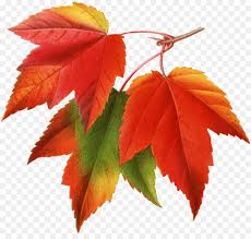 Image result for fall leaves clip art