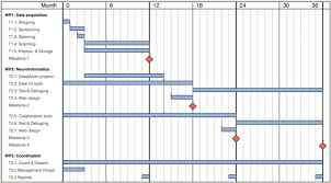 Gantt Chart Showing The 3 Work Packages Its Tasks Blue