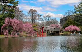 magnificent gardens to visit temple muse