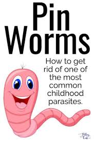 best tips to get rid of pinworms