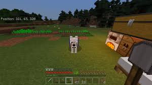 Maybe you would like to learn more about one of these? This Is The First Dog I Have Had In 3 4 Years Names Minecraft