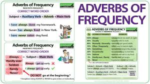 Adverbs Of Frequency English Grammar Adverbios De Frecuencia