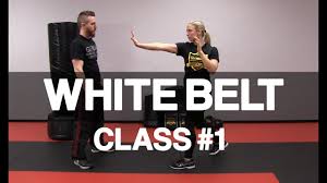 introduction to krav maga white belt