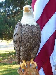 Eagle Concrete Statue Garden Patriotic