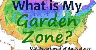 What Is My Garden Zone Using The Usda