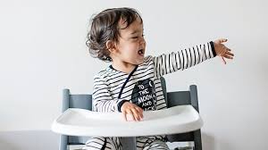 toddler s the high chair here s