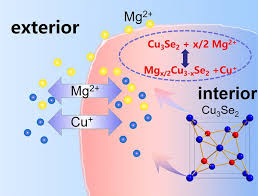 copper ion unlocks magnesium s