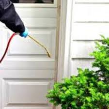 Petersburg to help protect your home from unwanted critters, don't hesitate to contact us and learn more about the home. The 10 Best Pest Control Companies In St Petersburg Fl 2021