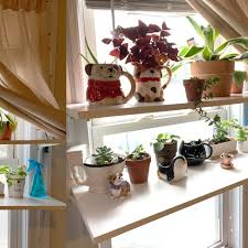 build indoor window shelves for plants