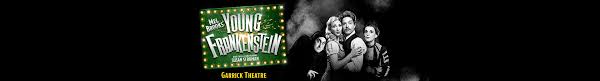 Young frankenstein orchestra & kathryn james. Cory English Is Now Starring As Igor In Mel Brooks Cult Classic Young Frankenstein London Theatre Direct