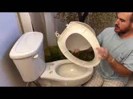 How To Fix Replace A Toilet Seat Lid
