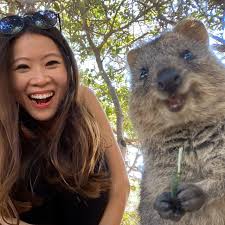 You may create a new quokka file, or start quokka on an existing file. 5 Strange Facts About Quokkas The New York Times
