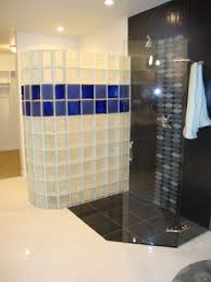 Colored Frosted Glass Block Shower