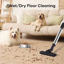 5in1 carpet cleaner vacuum floor