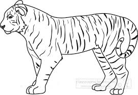 outline clipart tiger black