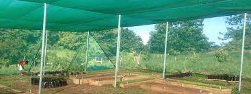 shade structure for growing vegetables