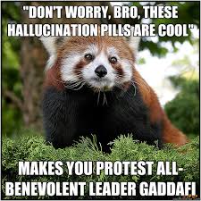 shady dealer red panda memes