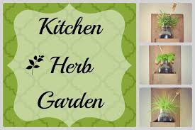 Diy Kitchen Herb Garden Around My
