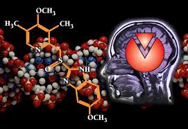 Image result for pharmacology