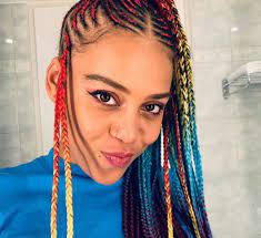 You can get this multisectioned style and add beads at the base to make things more attractive! Sho Madjozi S Rainbow Hair Craze A Solid Lesson On Why Media Representation Matters For Kids Zonk News