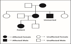 Pedigree Chart Showing The Mode Of Inheritance Of The