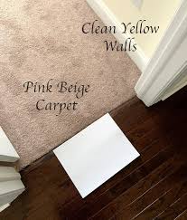 Wall Carpet Colour