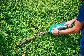 The Best Hedge Trimmers In Australia