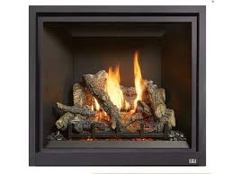 Gas Evergreen Home Hearth