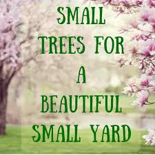 Attractive to bees, butterflies and birds. 39 Small Trees Under 30 Feet For A Small Yard Or Garden Dengarden