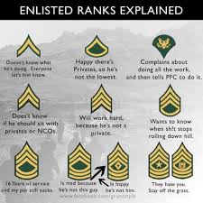 Ranks Explained Army Humor Military Jokes Military Ranks