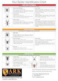 Spider Identification Chart Ark Pest Management