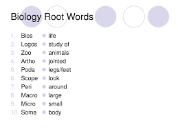 ppt biology root words powerpoint