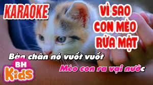 KARAOKE Vì Sao Con Mèo Rửa Mặt - Nhạc Karaoke Cho Bé - YouTube